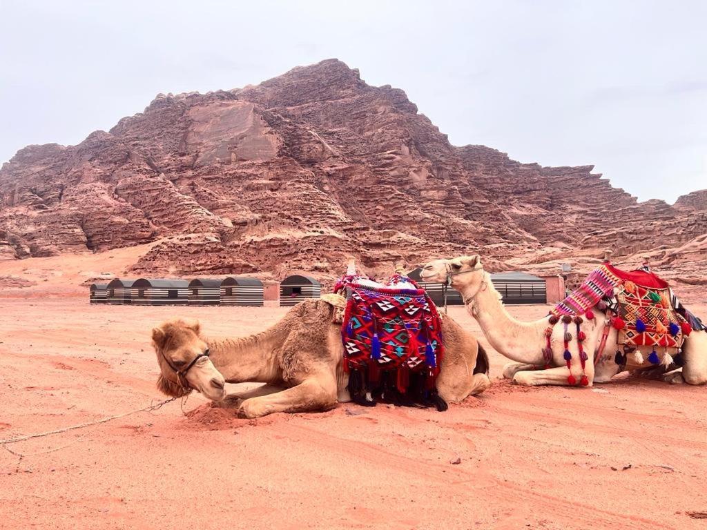 Wadi Rum Sky Tours & Camp エクステリア 写真